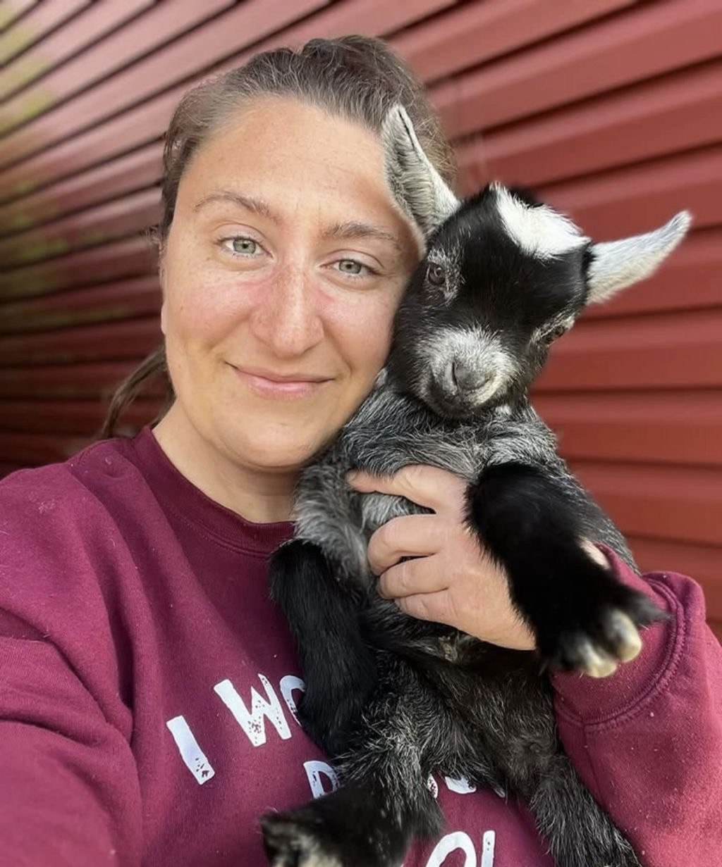Order Nigerian Dwarf Goats Online